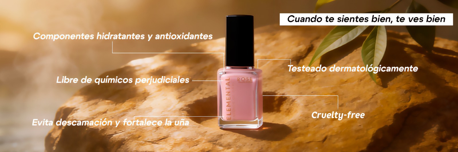 WhatsApp Image 2026-01-30 at 3.01.40 PM